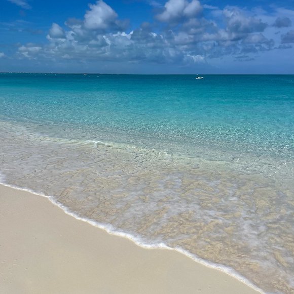 Meet your Posher, BeachySD - Picture 5 of 16